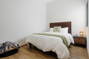 Zaterra, A Tranquil Oasis in Roma Norte