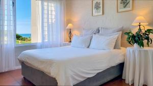 Escape to Paradise: Beachside Apartment