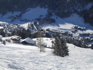 Appartementhaus Elmo Viehhauser KG