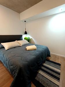 Hermoso Departamento en alquiler, Edificio Agora I, Villa Rosa