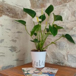 Gite de charme à Guipry Messac