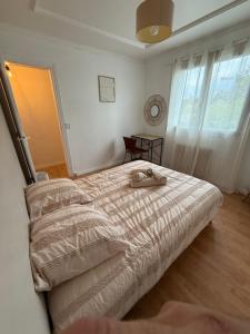 Appartements T2 de charme avec jardin a deux pas de Conleau : photos des chambres