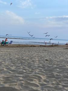 Isla Canela apartamento los Pelícanos ayamonte