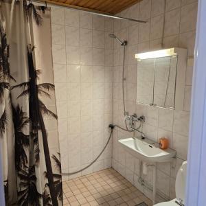 Kodikas yksiö Heinolan keskustassa