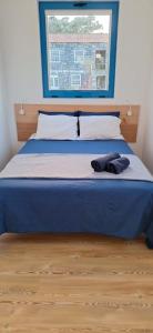 Blue Shark Appartment