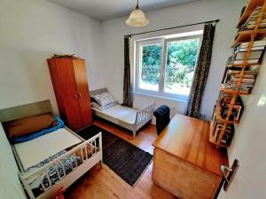 Dom z tarasem wśród pól i lasu - przestronny salon, blisko natury