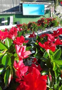 Panoramic View La Quiete
