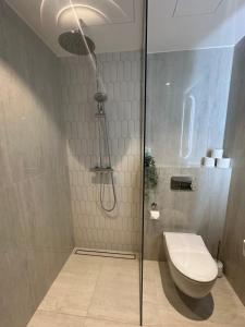 Luxurious Seaside Penthouse