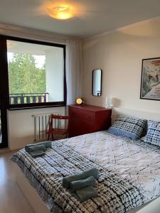 Borovets Gardens apartment C-43