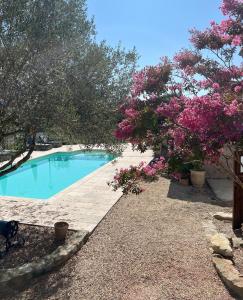 B&B / Chambres d'hotes Maison Casamande - Calme et serenite dans un domaine d-amandiers : photos des chambres