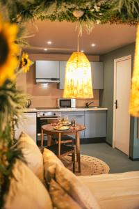 Appartements Desert rose jacuzzi situe a 5 min du centre ville de mulhouse stationnement privee sur demande : photos des chambres