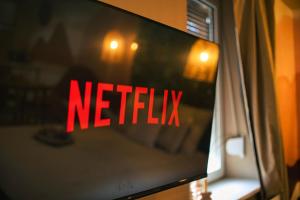 Appartements Desert rose jacuzzi situe a 5 min du centre ville de mulhouse stationnement privee sur demande : photos des chambres