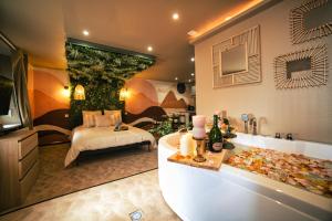 Appartements Desert rose jacuzzi situe a 5 min du centre ville de mulhouse stationnement privee sur demande : photos des chambres