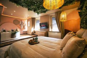 Appartements Desert rose jacuzzi situe a 5 min du centre ville de mulhouse stationnement privee sur demande : photos des chambres