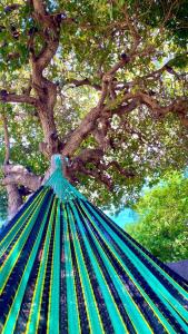 Pousada Cajueiro Beach House