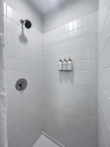 South Loop Rooftop With In & Out Parking 1