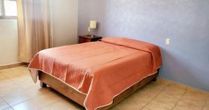 Casa orejas de elefante