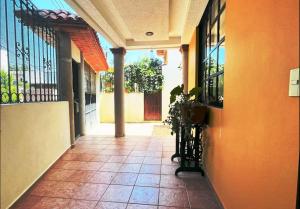 Casa orejas de elefante