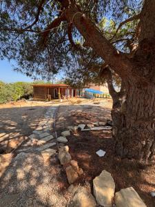 Casa Madeira no Monte