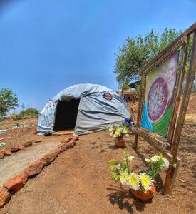 La Casa de la Mujer Medicina