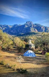 La Casa de la Mujer Medicina
