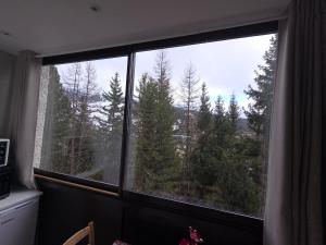 Studio cosy proche des pistes