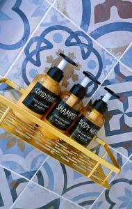 Appartements Au Petit Trianon Bleu : photos des chambres