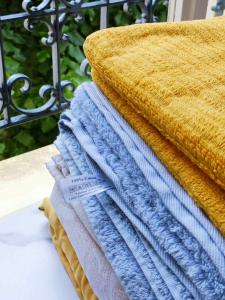 Appartements Au Petit Trianon Bleu : photos des chambres