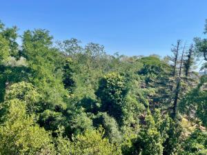 Elis rooms & suite img4