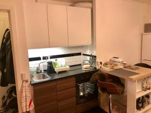 Luxury Scandanavian Style flat near city