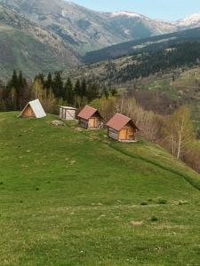 Eco katun Kofiljača