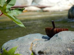 Eco Camping Jarabacoa