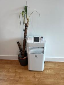 Perfect-City-Centre Apartments