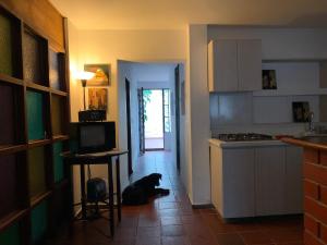 El Solar Hostel - Comuna 13, graffitour