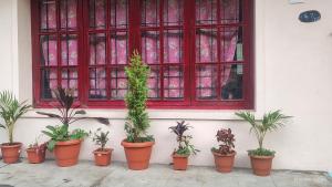 yercaud Happy valley cottage