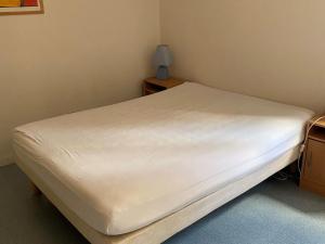 Appartements Appartement 3 pieces avec balcon et navettes au pied - FR-1-515-234 : photos des chambres