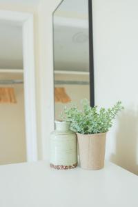 Juniors Suite at JS Hubbs Guest House