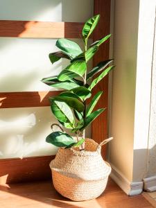 Costa Home - Departamento vista atardecer