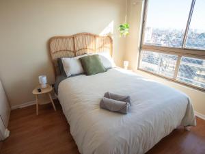 Costa Home - Departamento vista atardecer