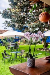 Pancha Mama Hotel Boutique