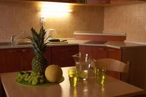 Apartmány REKO Kadaň - Chomutov