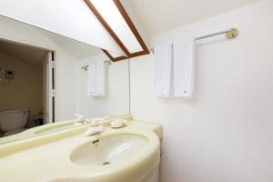 Inje Hachuri Undeokwi Hayanjib