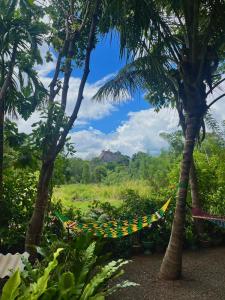 Sigiriya Palace View