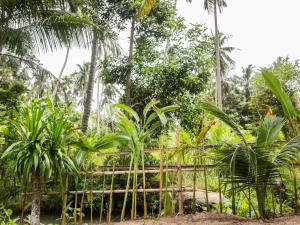 Hidden Waterfall Private Houses