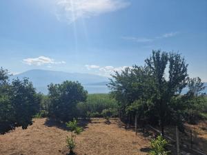 Lakeside View Apartment