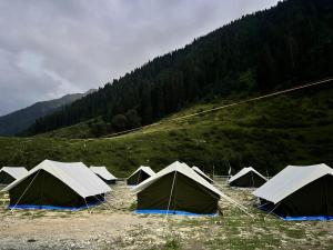 Glamping by Stay Pattern