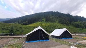 Glamping by Stay Pattern