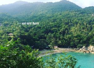 Sea View Jungle Eco-Pool House