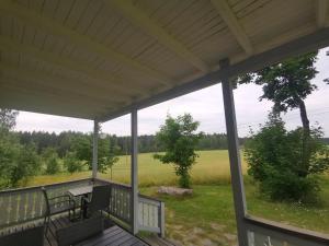 Karvisen Kissanpäivät Joensuun lähellä