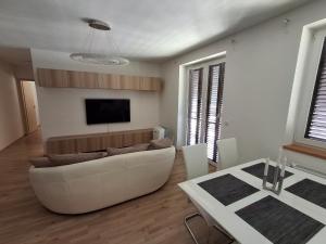 Duna Wellness Apartment